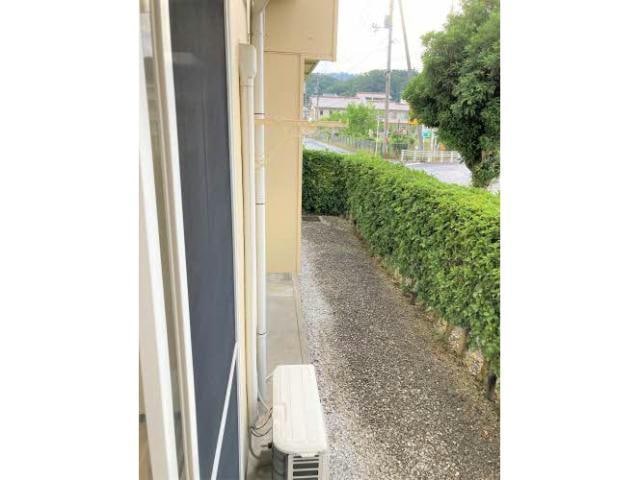  チェリーコートB