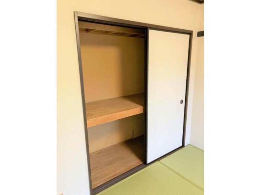  チェリーコートB