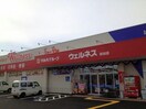 ドラッグストアウェルネス桜谷店(ドラッグストア)まで1093m ハイツボナベンチャー