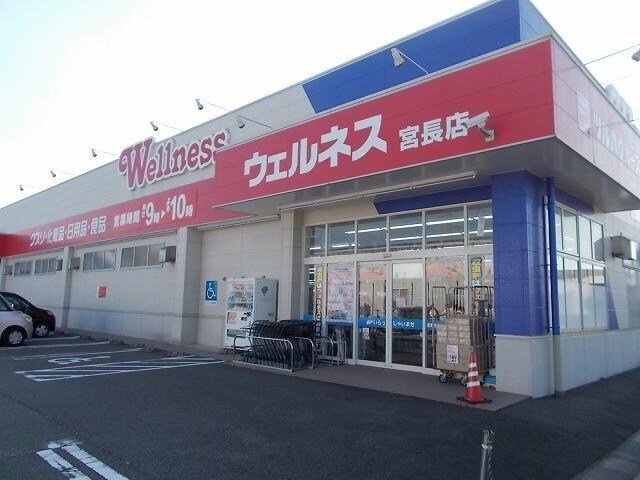 ドラッグストアウェルネス宮長店(ドラッグストア)まで540m レーヴ吉成A