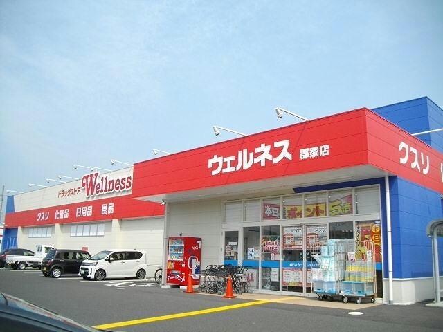 ドラッグストアウェルネス郡家店(ドラッグストア)まで635m サンライト　ヴィラ