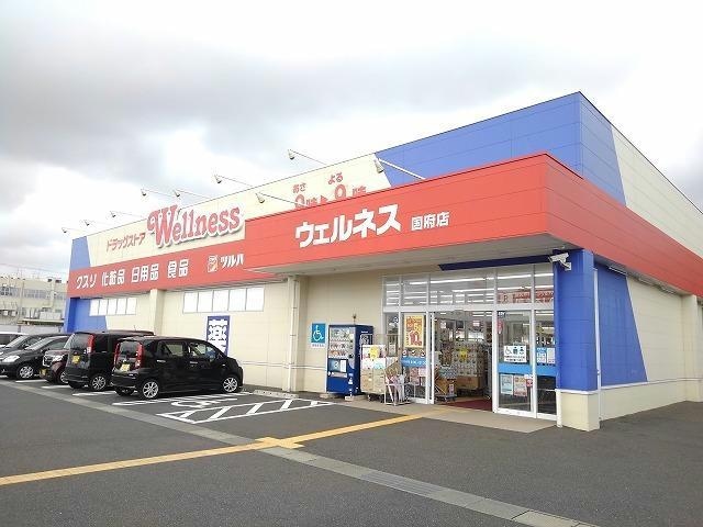 ドラッグストアウェルネス国府店(ドラッグストア)まで727m マロンハイツ