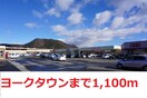 ヨークタウン野田町(スーパー)まで1100m メゾンツチヤ