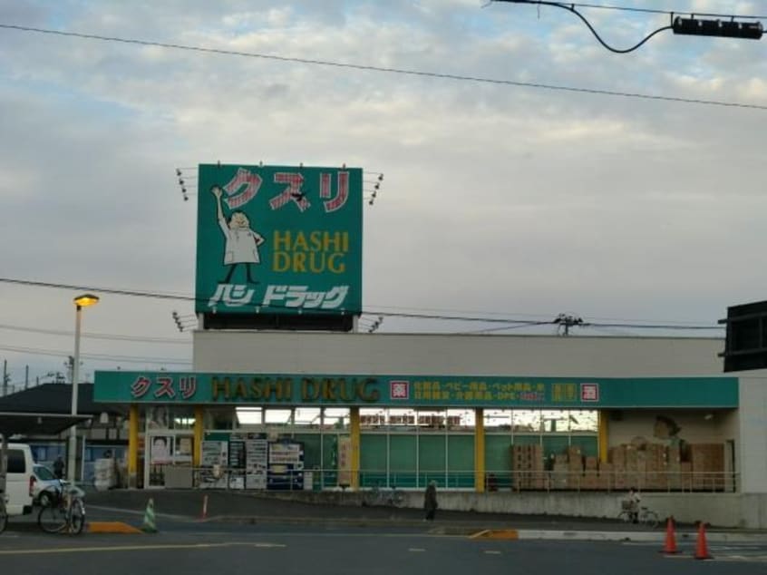 ハシドラッグ腰浜店(ドラッグストア)まで767m ライズピア上浜町