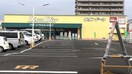 リオン・ドール野田店(スーパー)まで1253m Earth矢剣町B
