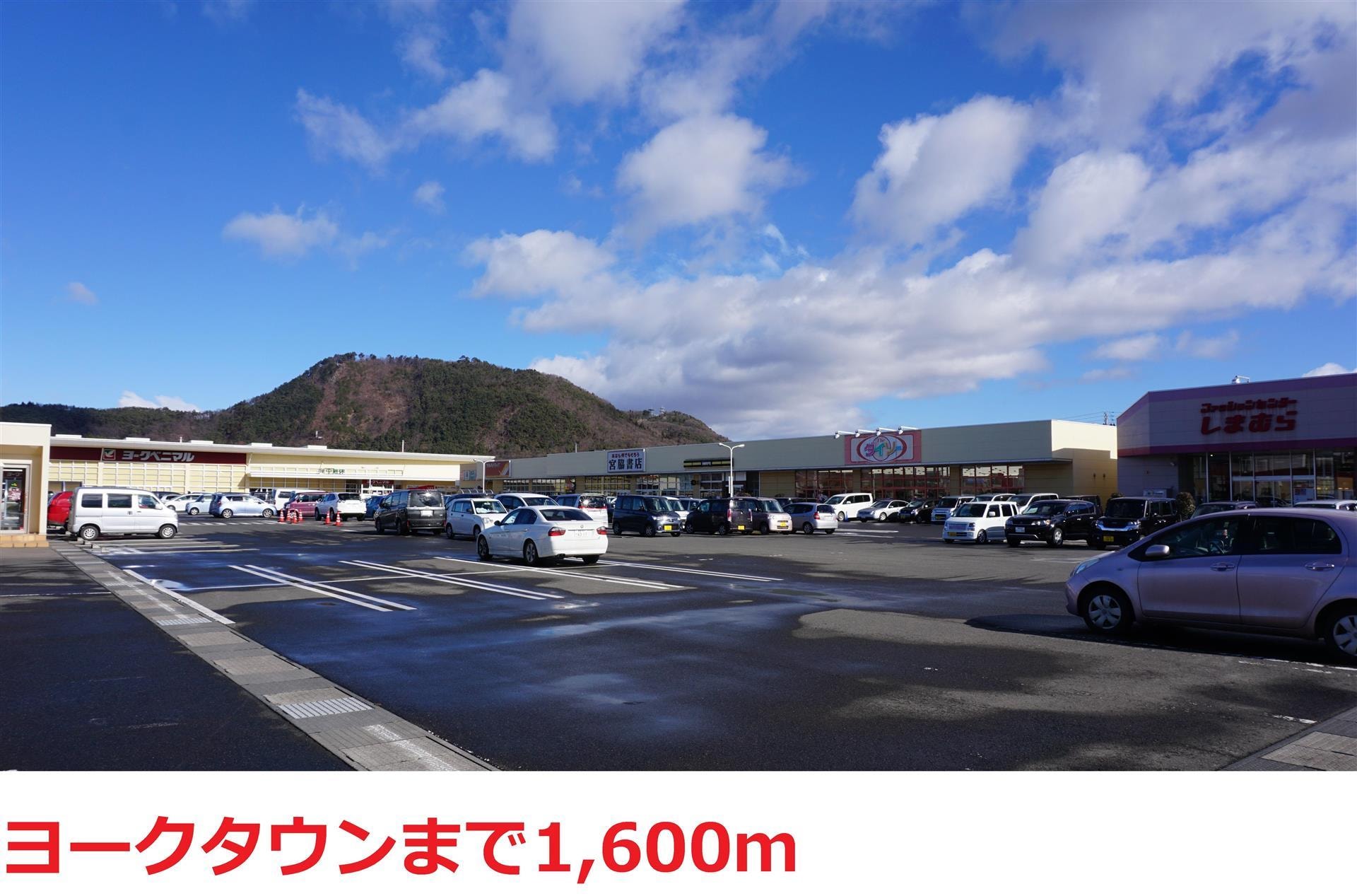 ヨークタウン野田町(ショッピングセンター/アウトレットモール)まで1800m Earth矢剣町B