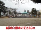 新浜公園(公園)まで650m アーバンハウス浜田