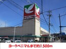 ヨークベニマル(スーパー)まで1500m フローラル山下