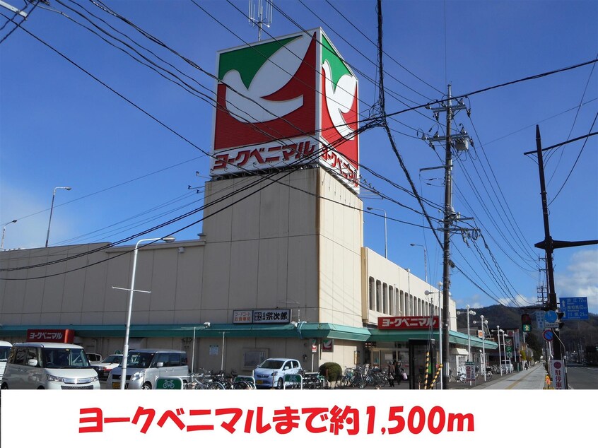 ヨークベニマル(スーパー)まで1500m フローラル山下
