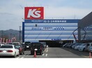 ケーズデンキ福島南本店(電気量販店/ホームセンター)まで1247m メゾンイーストII