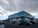 ハシドラッグ鳥谷野店(ドラッグストア)まで301m エルセラーン6