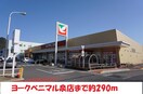 ヨークベニマル(スーパー)まで290m ジュネス森合Ａ