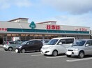 スーパーマーケットいちい蓬莱店(スーパー)まで1084m ハビデ清水
