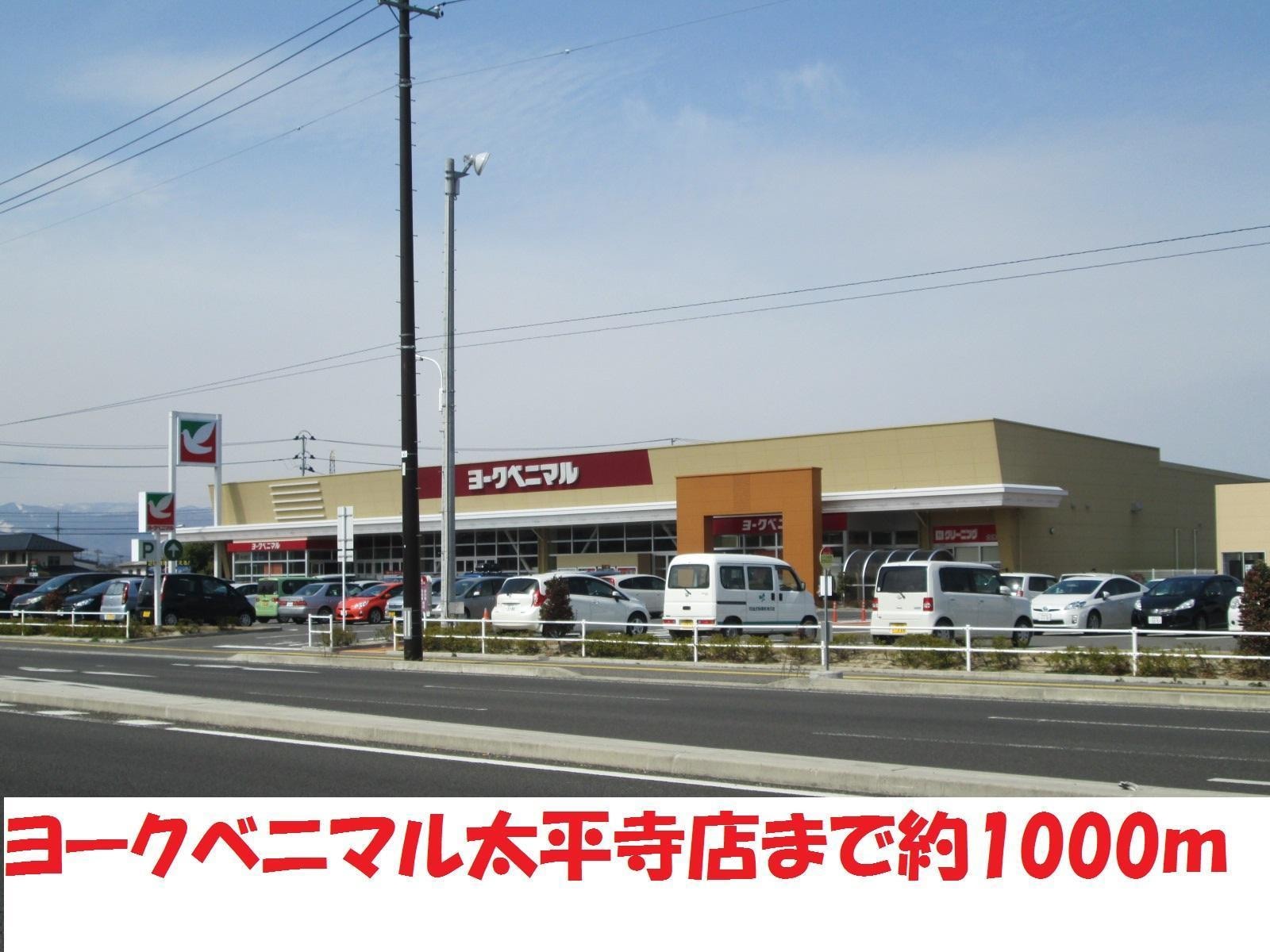 ヨークベニマル(スーパー)まで1000m プランドールF