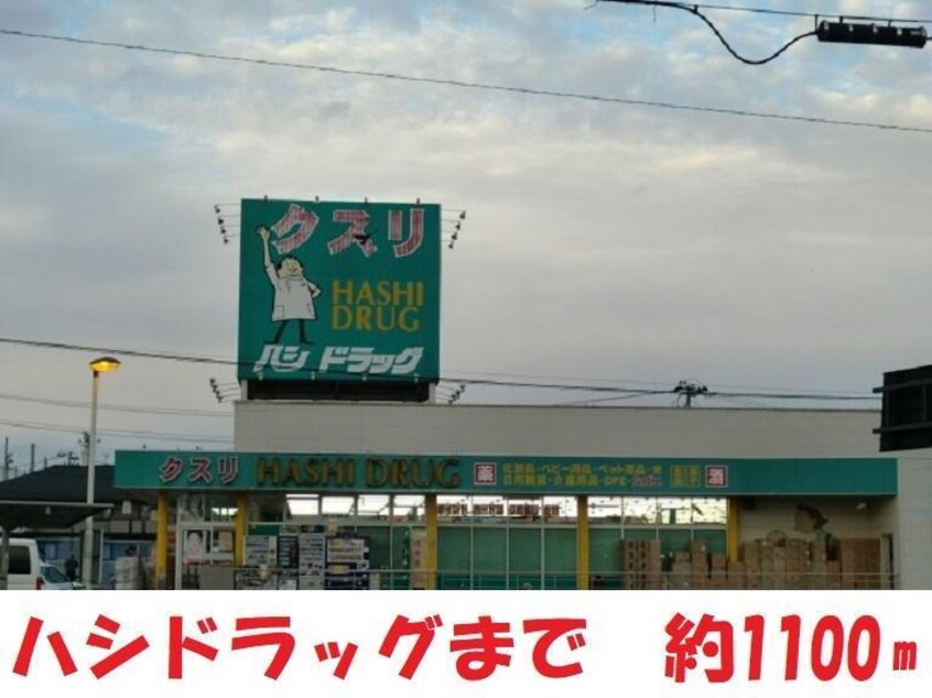 ハシドラッグ腰浜町店(ドラッグストア)まで1100m ハイツ東舞子