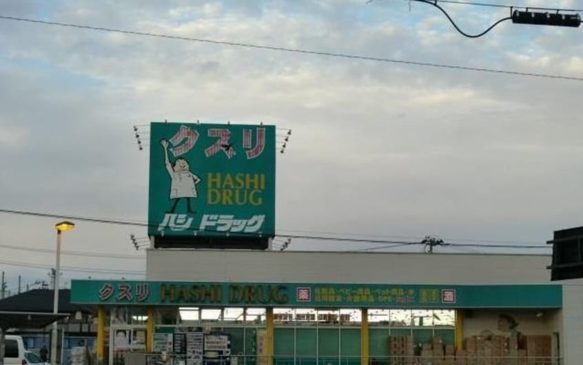 ハシドラッグ腰浜店(ドラッグストア)まで444m コーポ武甚