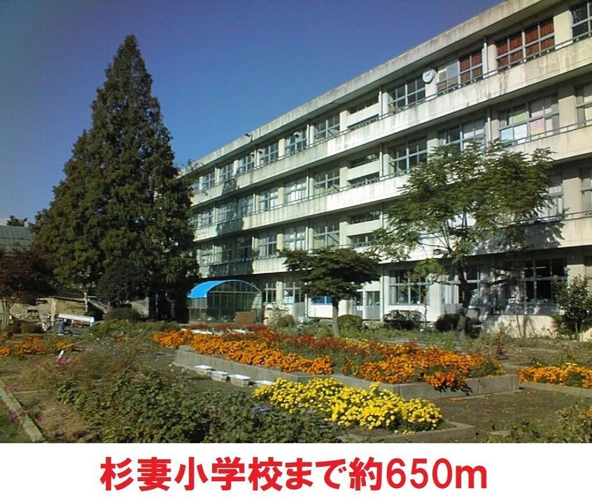 杉妻小学校(小学校)まで650m 南福島コーポラス