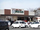 ダイユーエイト福島蓬莱店(電気量販店/ホームセンター)まで1103m コーポラス清水B棟