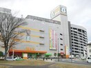 ダイユーエイトMAXふくしま(電気量販店/ホームセンター)まで757m ベルトピア福島No.8