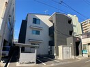  メイ・セレッソ