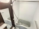  メイ・セレッソ
