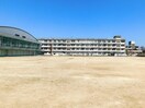 福島市立杉妻小学校(小学校)まで965m ハイツ鳥谷野