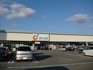 カワチ薬品福島南店(ドラッグストア)まで378m メゾンばんしょう