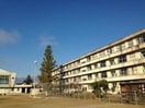 福島市立杉妻小学校(小学校)まで1449m サニーガーデンB