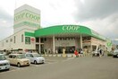 コープふくしま方木田店(スーパー)まで1465m 日吉ハウス