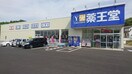 薬王堂福島太平寺店(ドラッグストア)まで804m 日吉ハウス