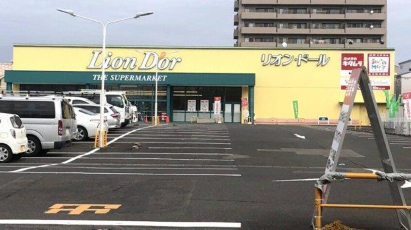 リオン・ドール野田店(スーパー)まで596m タカラビル
