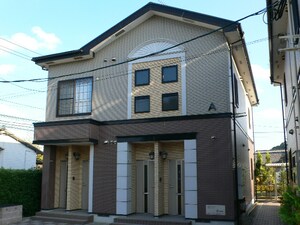 サンフラワー A