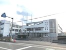 石井町立石井小学校(小学校)まで1077m※広い校庭がある小学校です☆ ファミールホリグチＡ