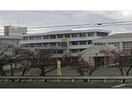 吉野川市立鴨島第一中学校(中学校/中等教育学校)まで8245m コーポ住友