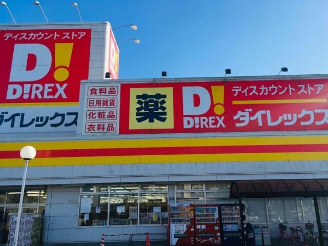 DiREX石井店(ディスカウントショップ)まで1531m 国府レインボーハイツⅡ