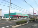 ディスカウントドラッグコスモス石井店(ドラッグストア)まで1261m ブルーメ　Ａ・Ｂ