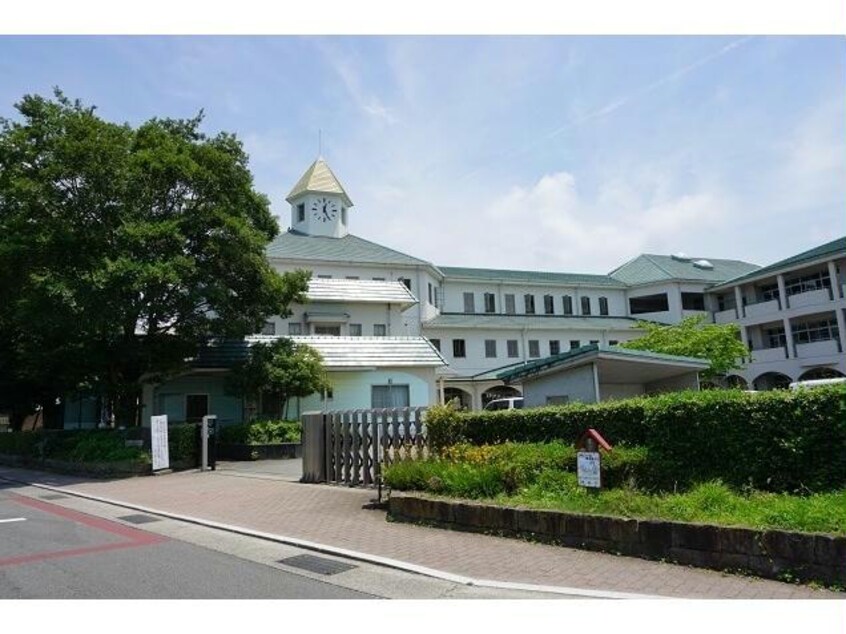 徳島市立加茂名南小学校(小学校)まで1772m エトワールＫ