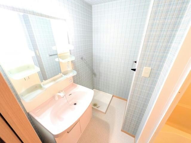  アクシス南島田　D