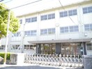 徳島市立城西中学校(中学校/中等教育学校)まで185m ルミエール南矢三EFGH