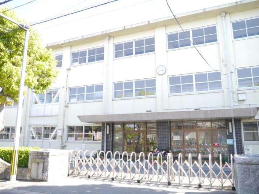 徳島市立城西中学校(中学校/中等教育学校)まで185m ルミエール南矢三EFGH