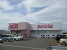ディスカウントドラッグコスモス府中店(ドラッグストア)まで606m ハイネス国府　Ｂ