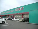 ディスカウントドラッグコスモス鴨島店(ドラッグストア)まで862m マロンハイツ