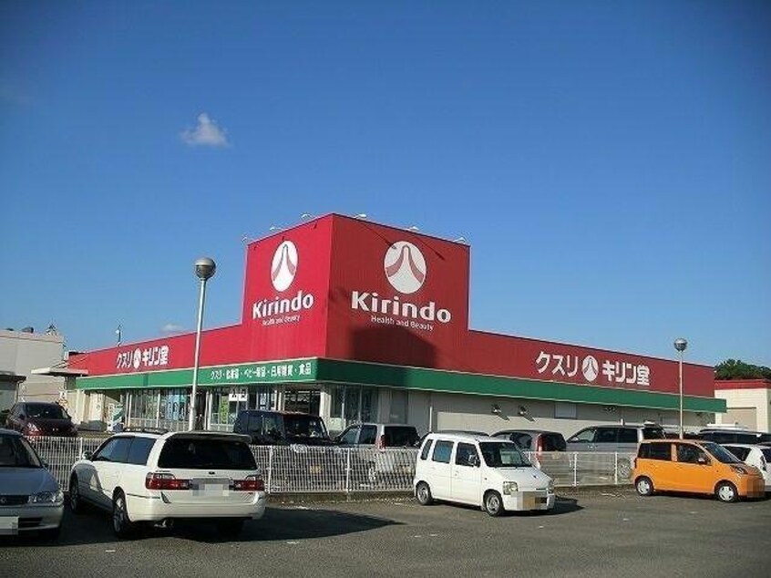 キリン堂鴨島店(ドラッグストア)まで834m マロンハイツ