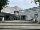 石井町立高原小学校(小学校)まで449m 松本邸