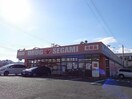 ドラッグセガミ名東店(ドラッグストア)まで795m クック鮎喰
