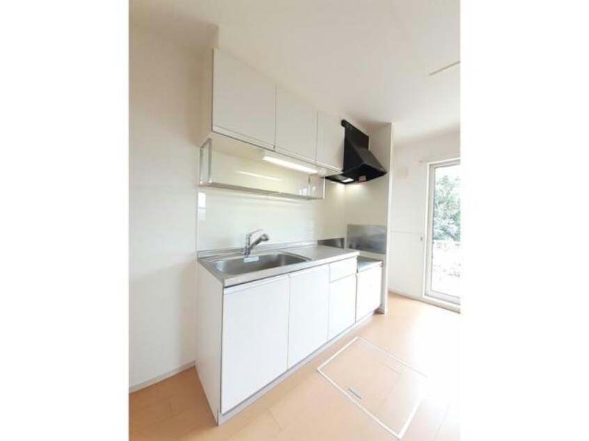  ラ・ゴロンドリーナ　B