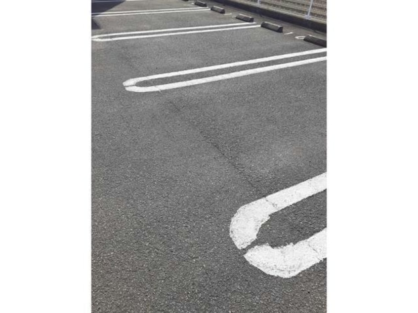  セント・フローラ　C