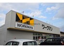 ワークマン愛知江南店(ショッピングセンター/アウトレットモール)まで696m グリーンウッド新宮