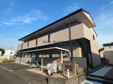 コモドフィオーレ