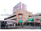 ヨシヅヤ大口店(スーパー)まで1931m サープラスワン大島